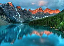 leyucom官网登录入口地址——安全导航，开启你的数字之旅